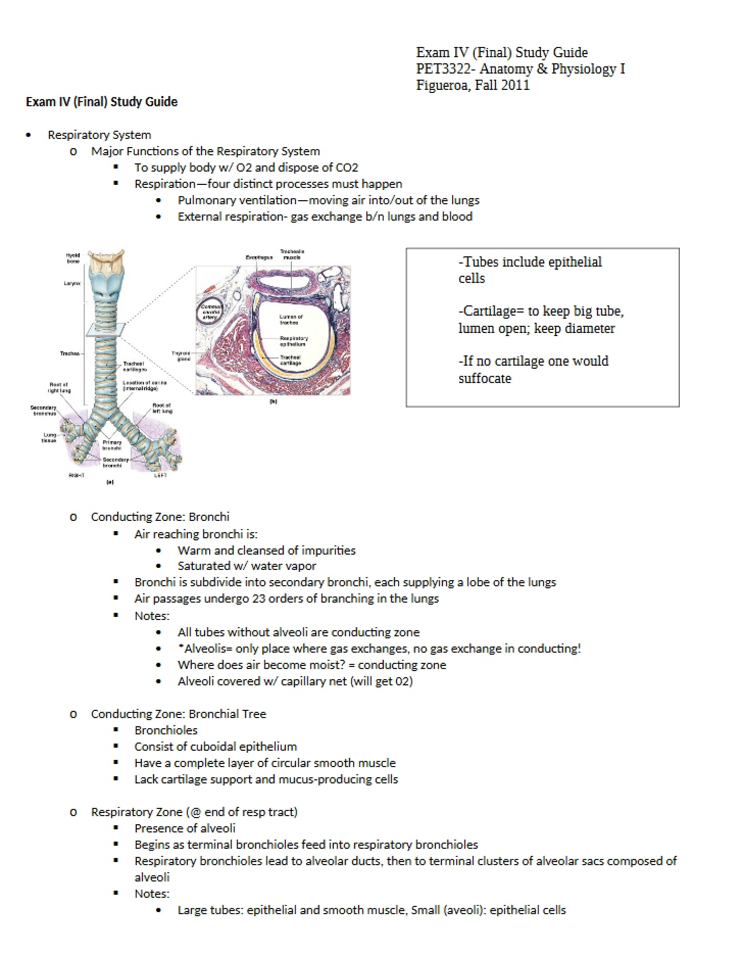 Exam 4 Review