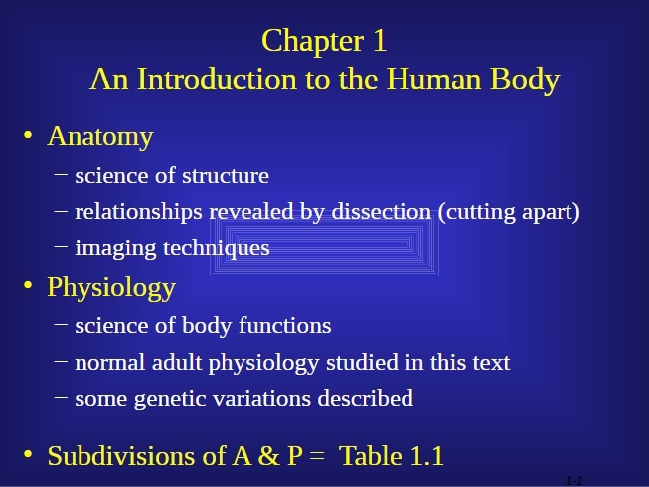 Introduction to the Human Body from Chapter 1
