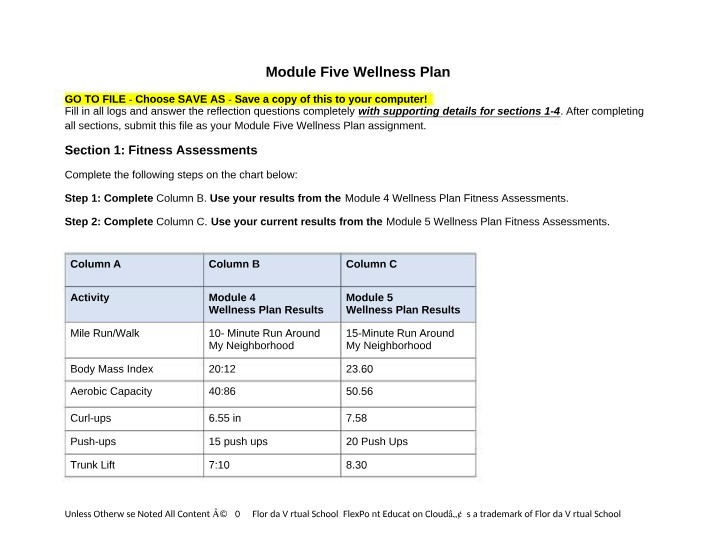 Wellness Plan - Module Five