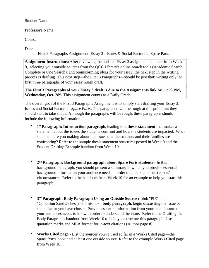 Social Factors and Issues in Spare Parts - Essay 3 Drafting