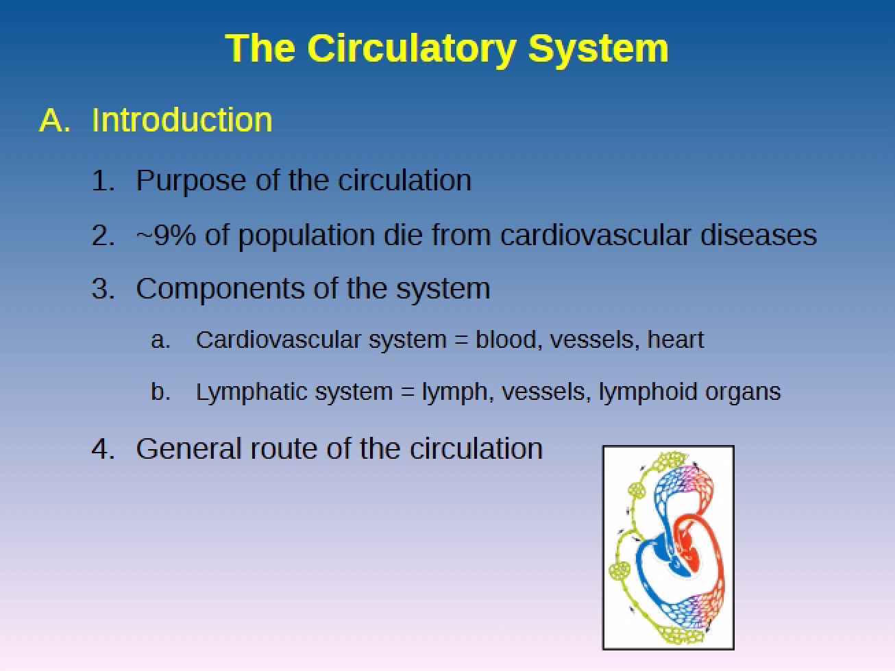 System of Circulation