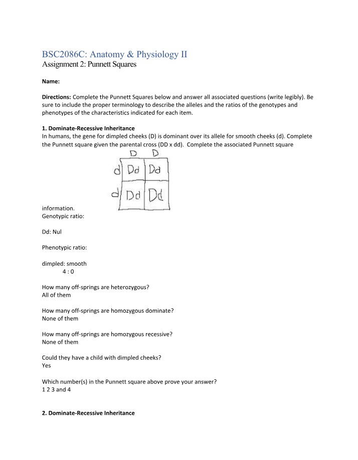 Punnett Squares Assignment 2