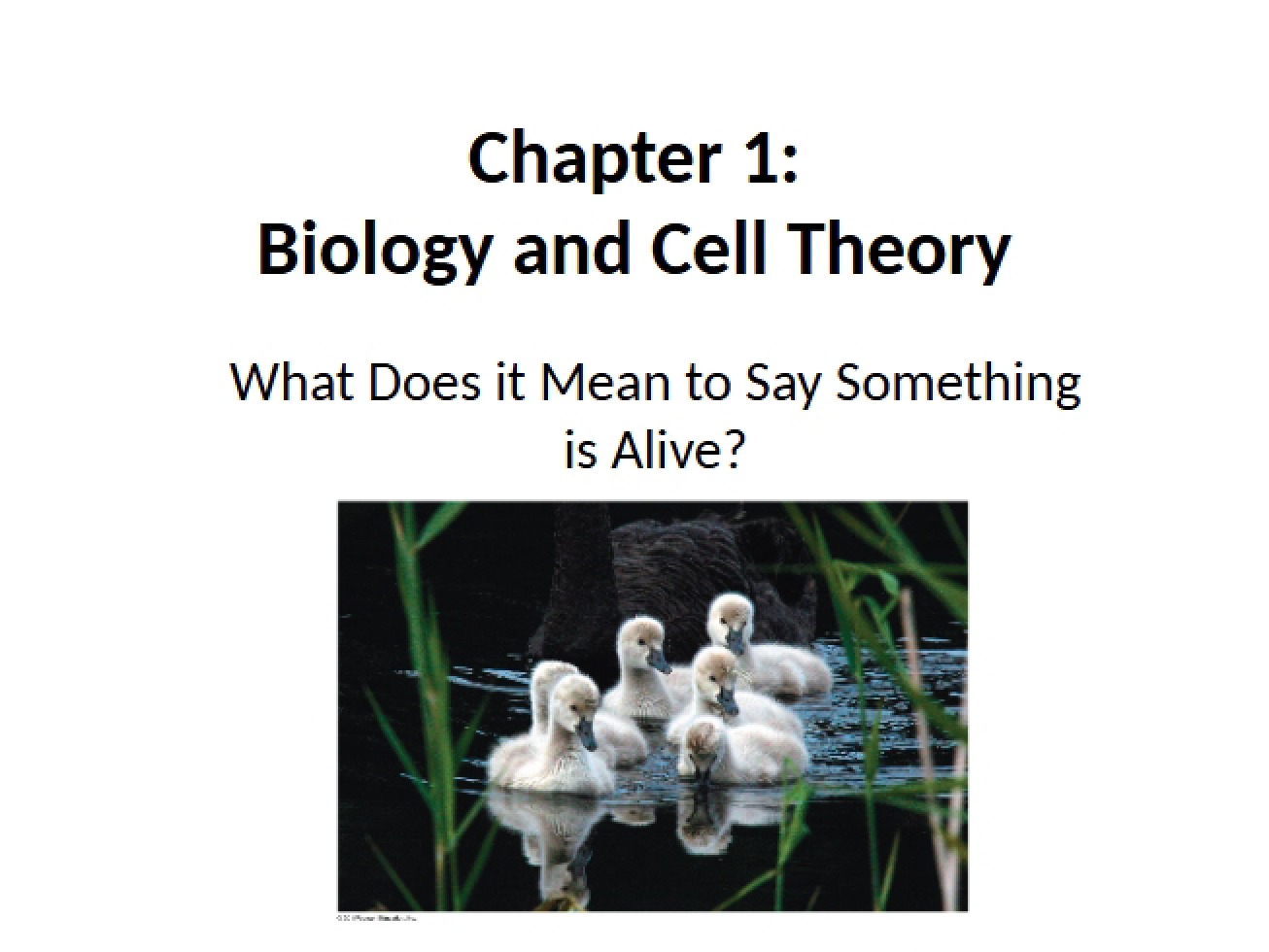 Topic 2 Handout Cell Theory