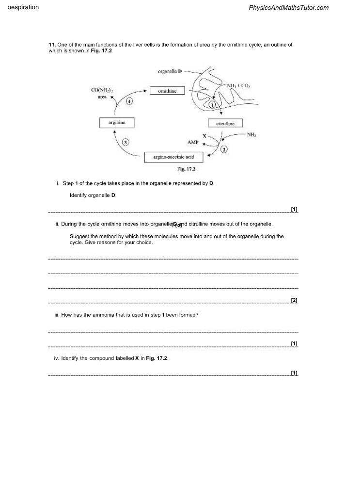 Ornithine Cycle - Urea Formation in Liver Cells
