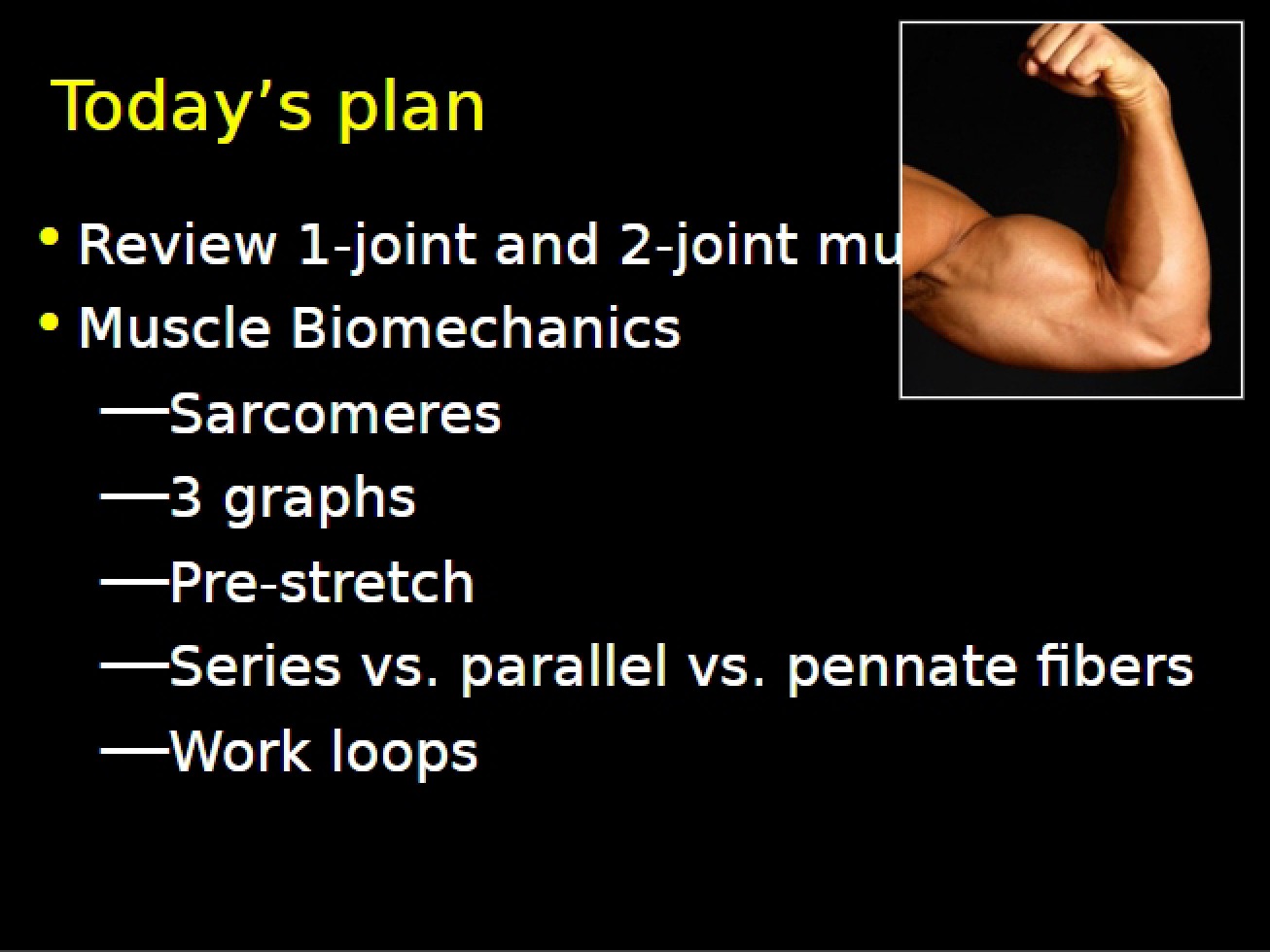 Biomechanics Lecture 4 (Set 2)