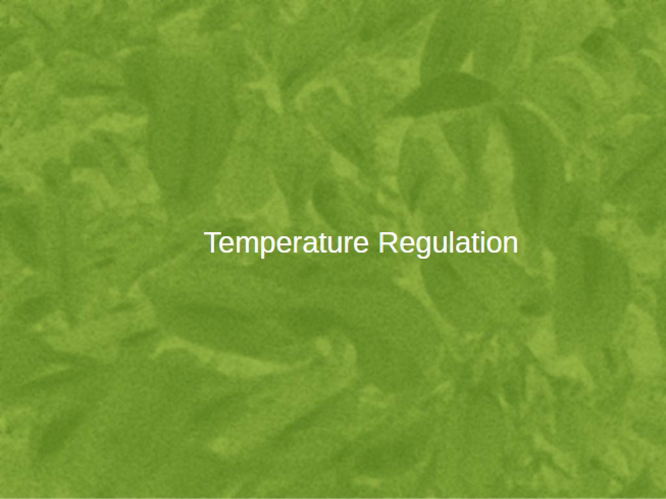 Regulation of Temperature