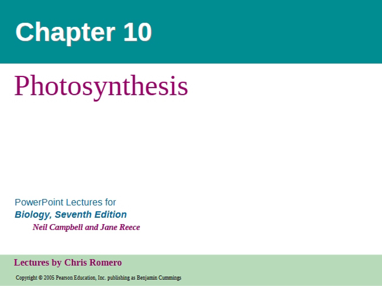 Photosynthesis Overview