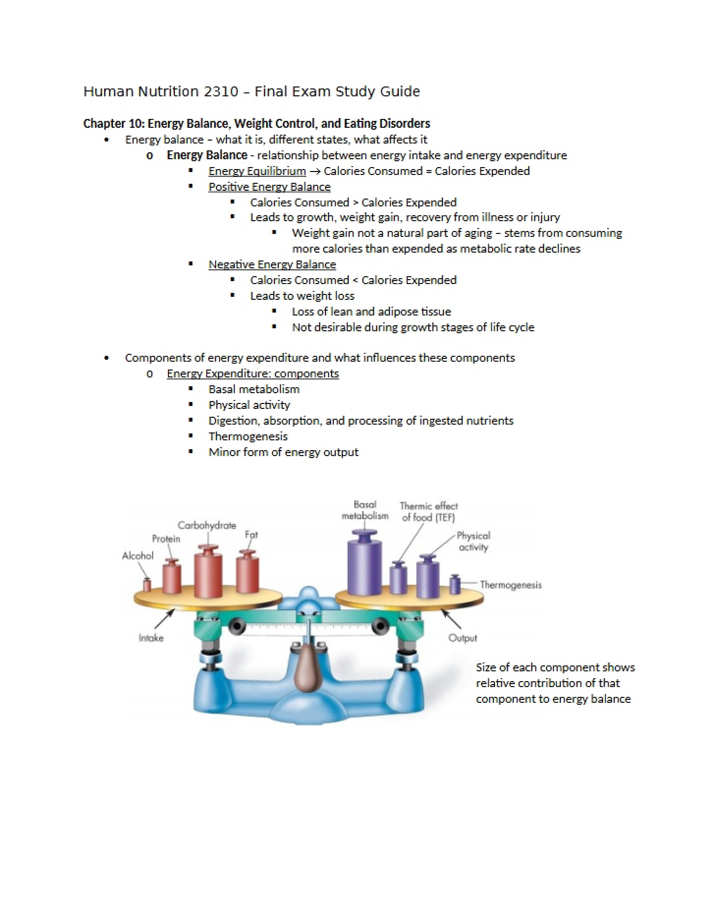 Guide for Final Exam Study