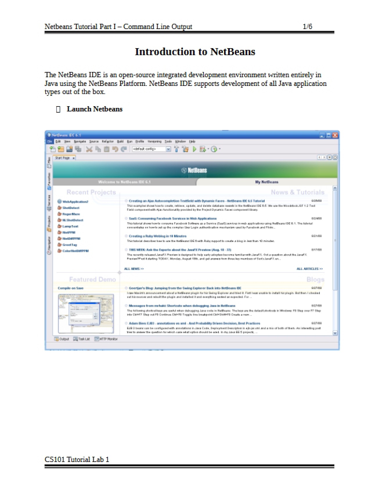 Introduction to the NetBeans Environment