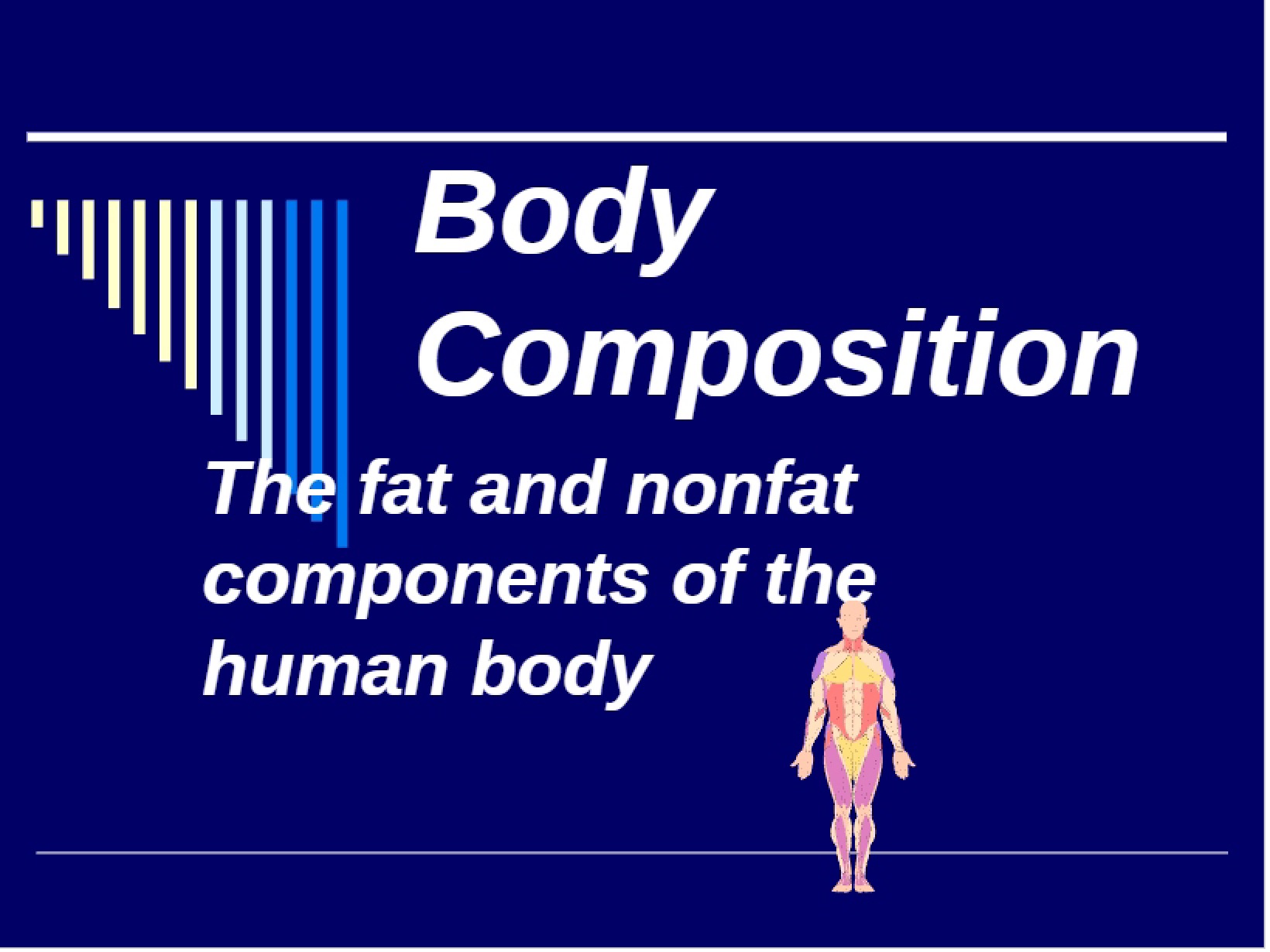 2011 Assessment and Body Comp (Short)