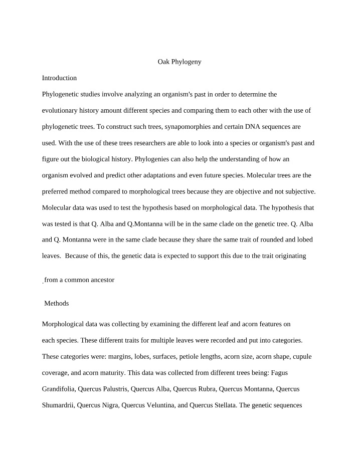 Phylogenetic Studies - Genetic Evolution of Oaks
