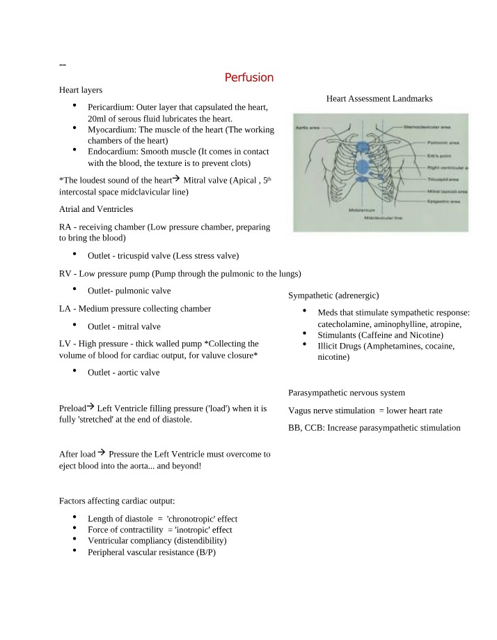 Heart Assessment Landmarks and Cardiac Output
