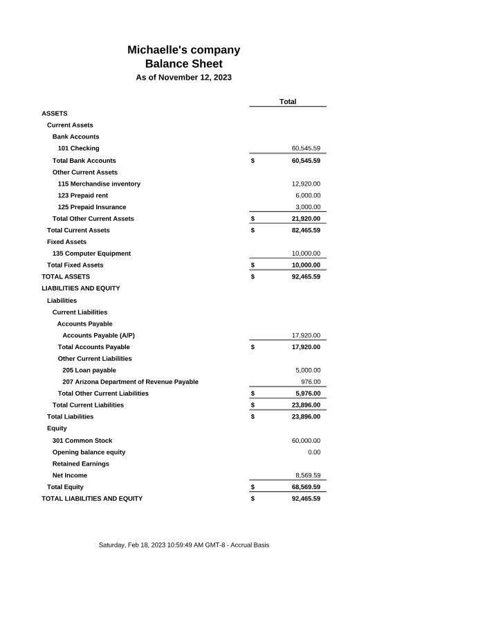 Michaelle's Company Balance Sheet Initial Draft