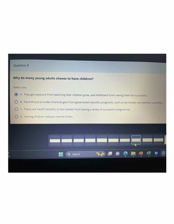 Why Young Adults Choose to Have Children