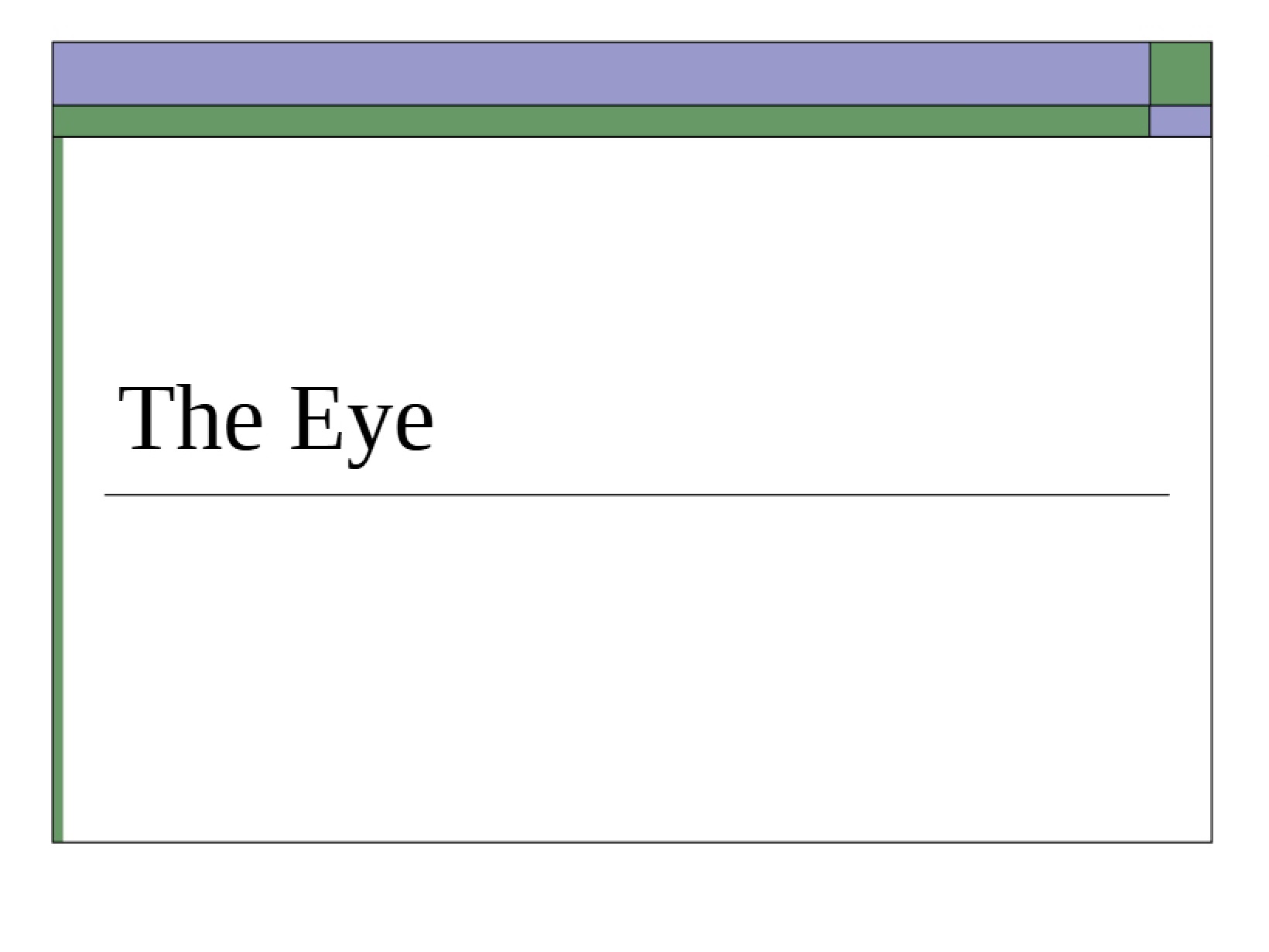 Ocular Anatomy and Function