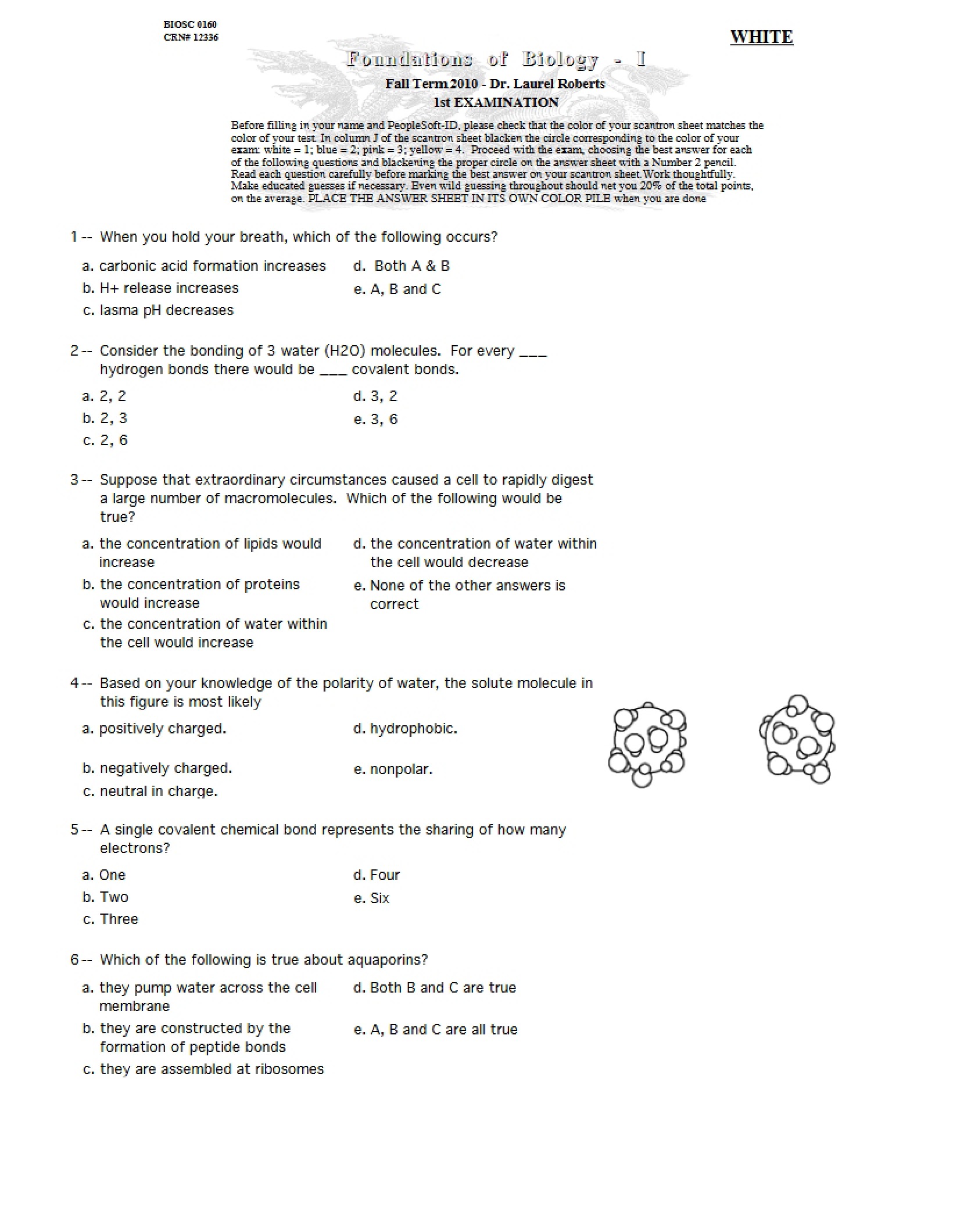 Exam I