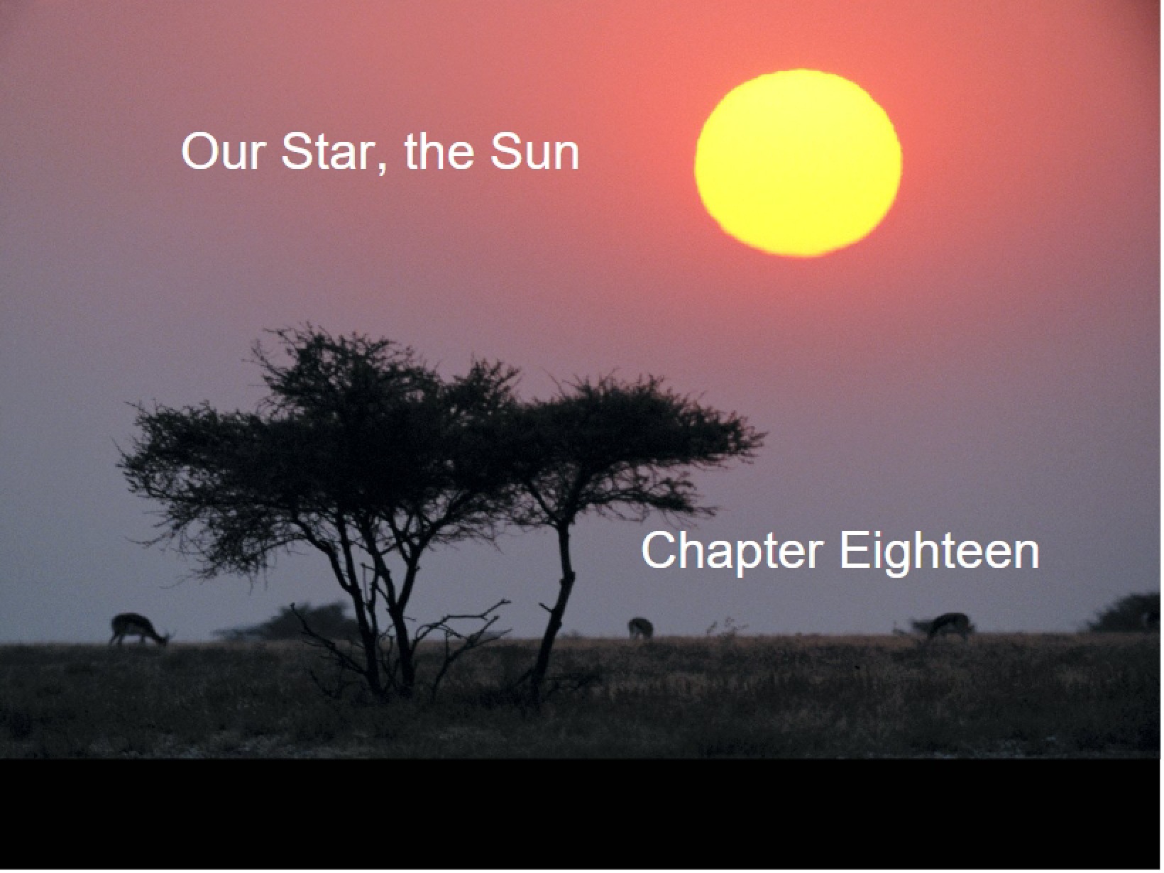 Sun Our Star
