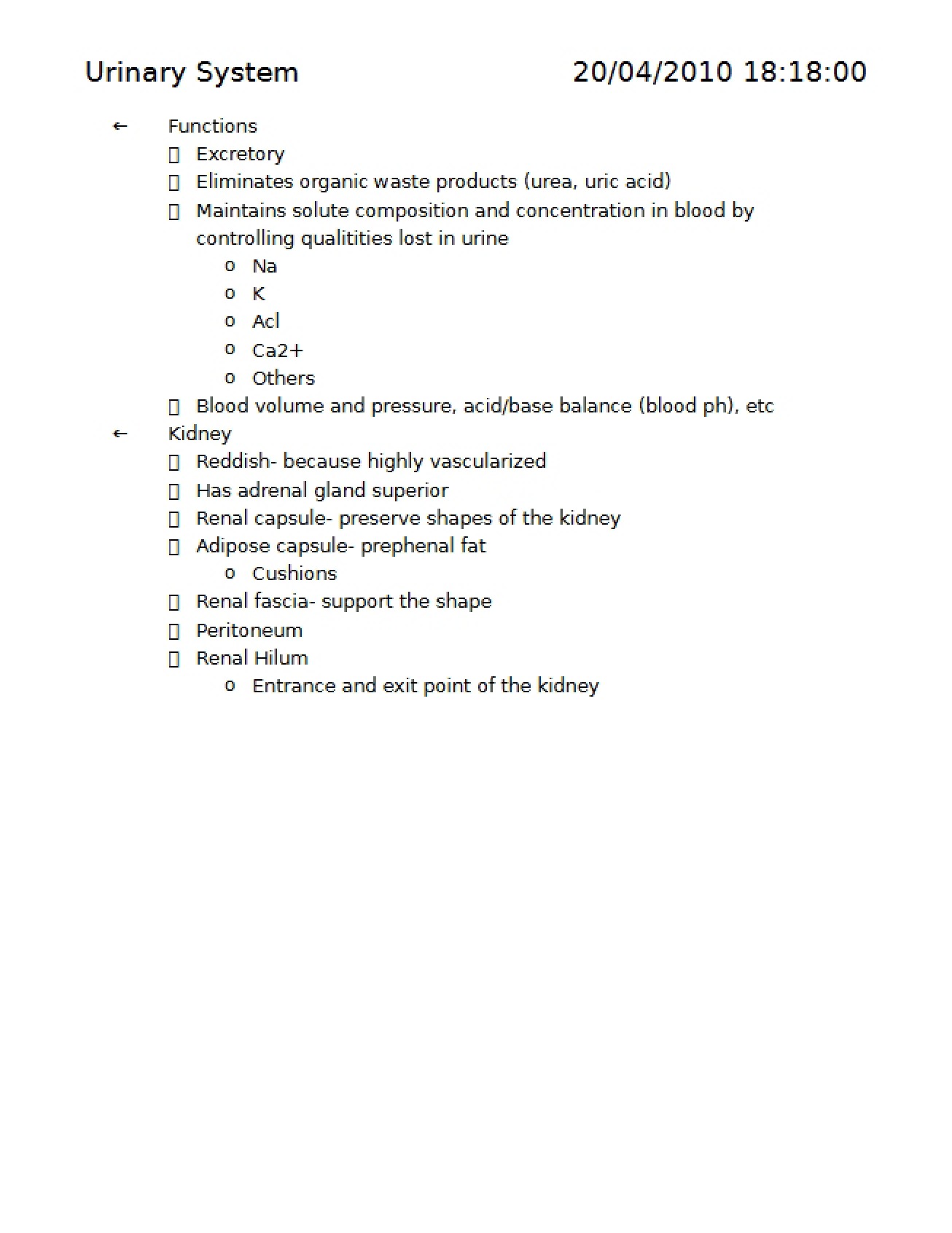System of the Urinary Tract