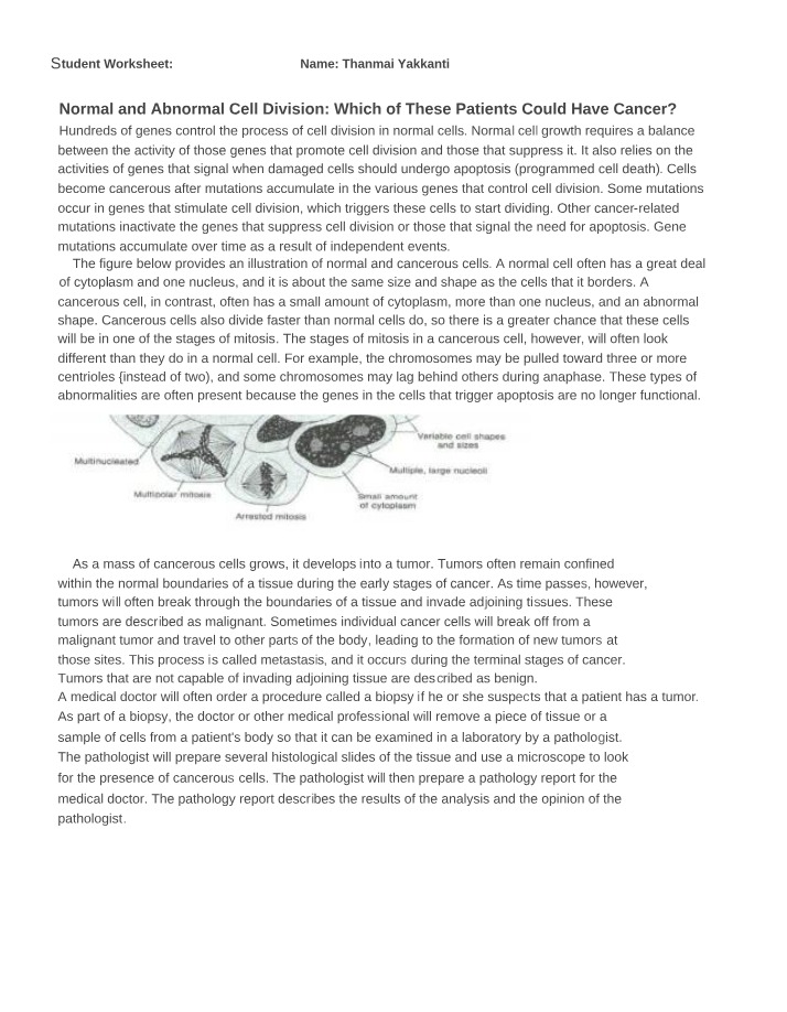 Cancer and Cell Division - Normal and Abnormal