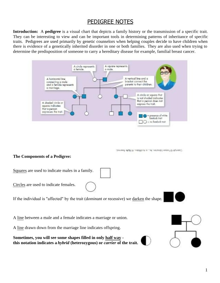 Pedigree Notes - Analysis and Questions