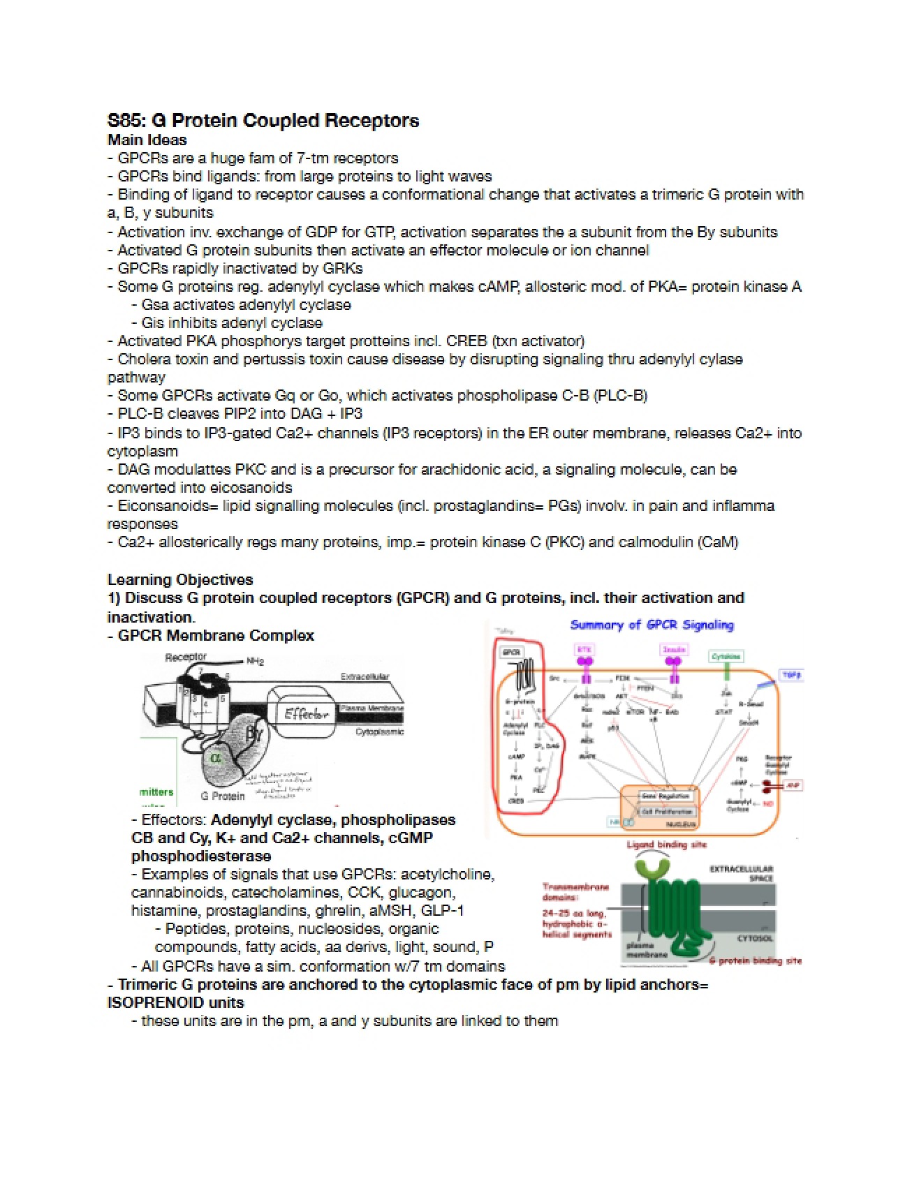 Lecture Review G-Protein Coupled Receptors