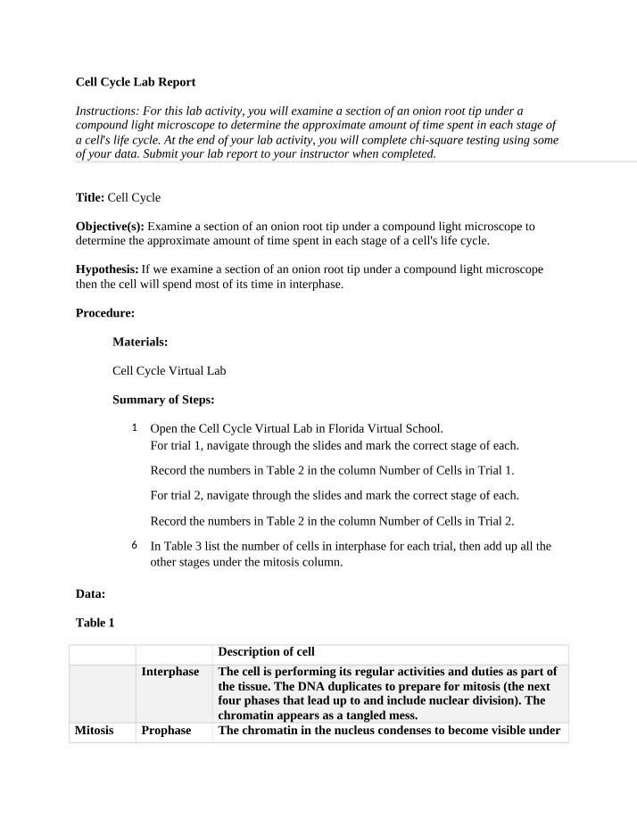 Lab Report on the Cell Cycle
