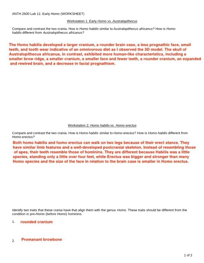 Worksheet on Early Homo Crania Similarities and Differences