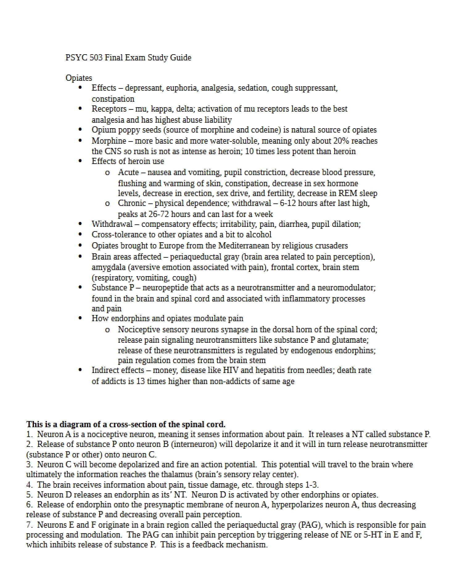 Study Guide for Final