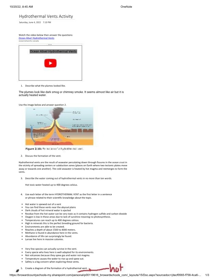 Activity on Hydrothermal Vents