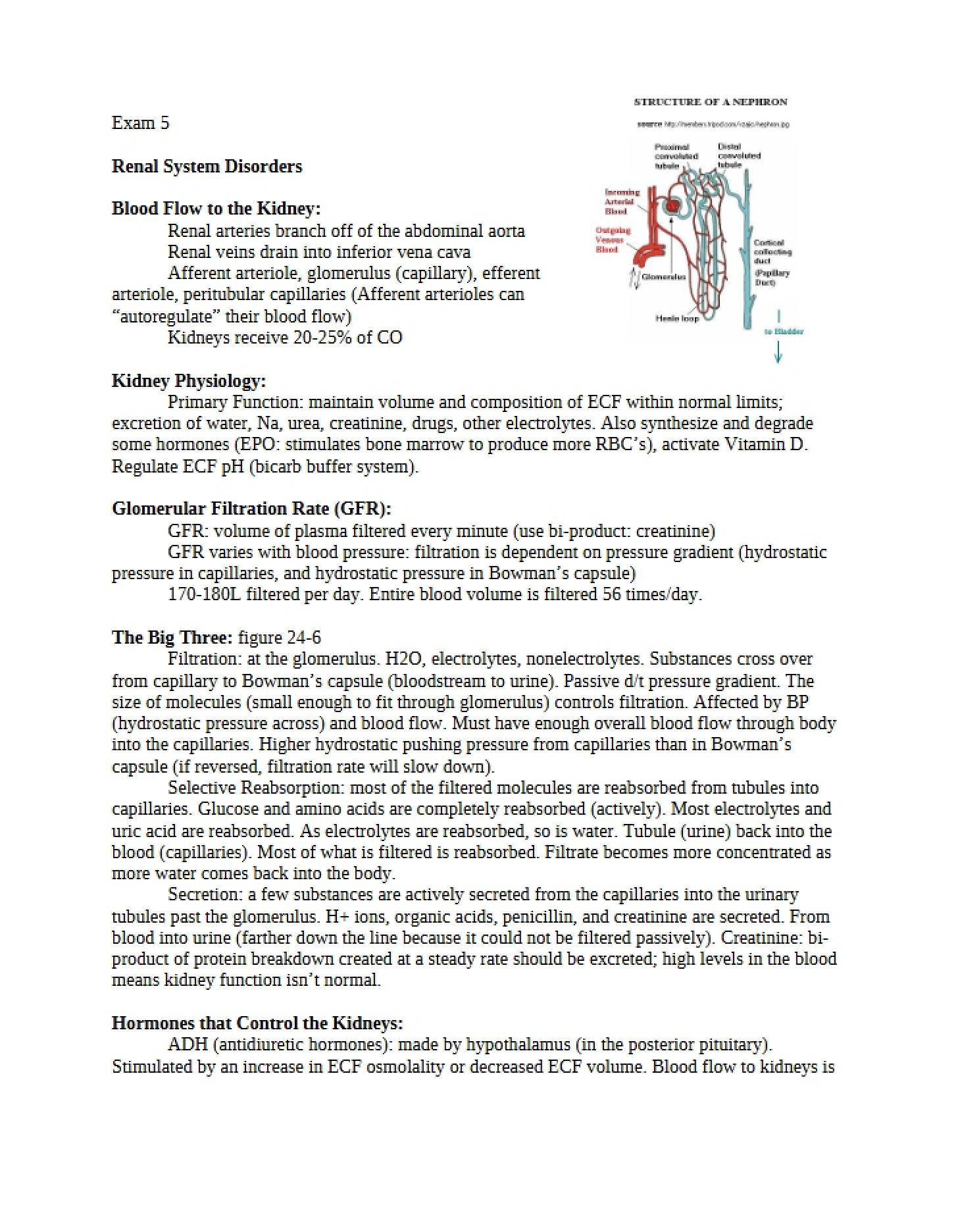 Examination Five
