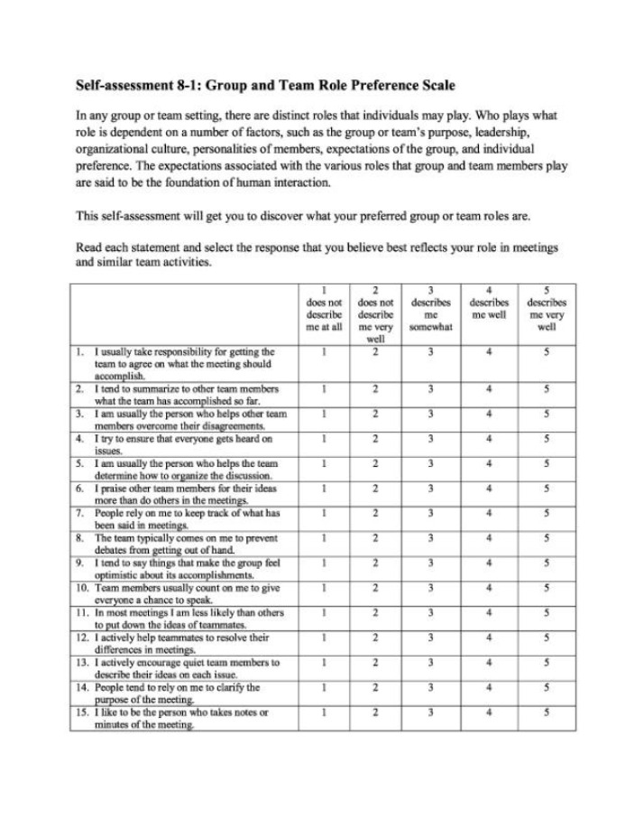 Group and Team Role Preference Scale Assessment