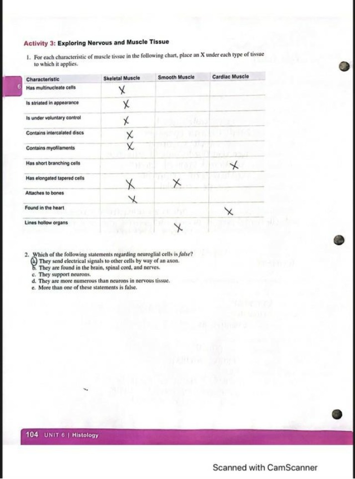 Nervous and Muscle Tissue Activity - BIO168
