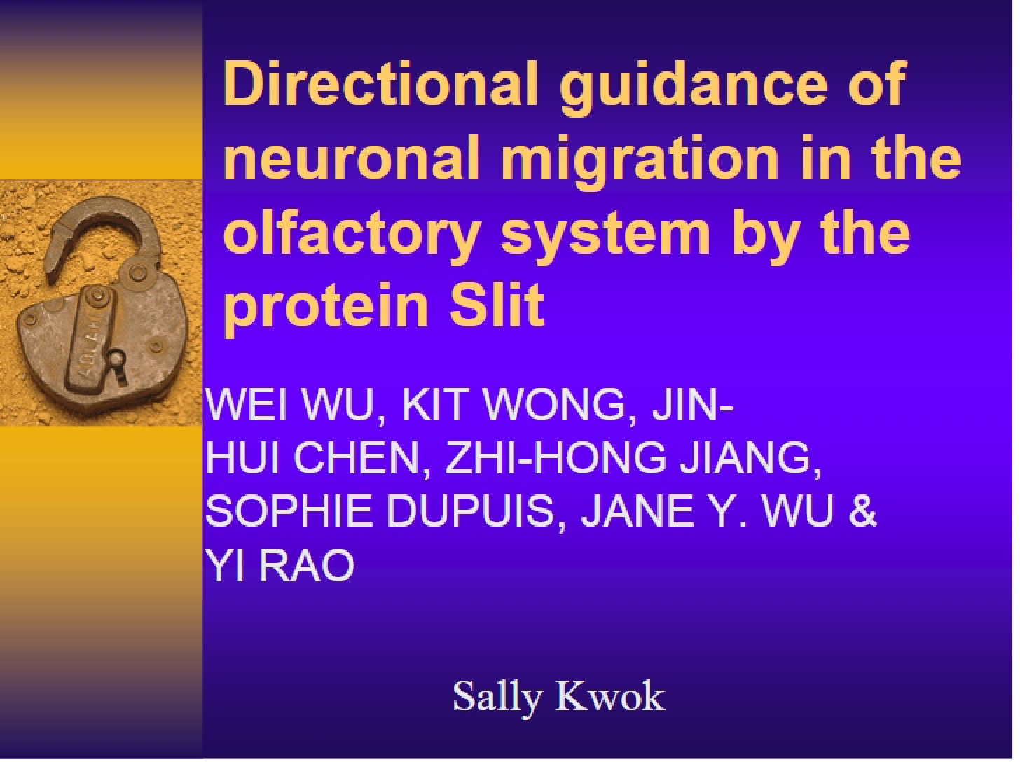 Neuronal Migration Directional Guidance