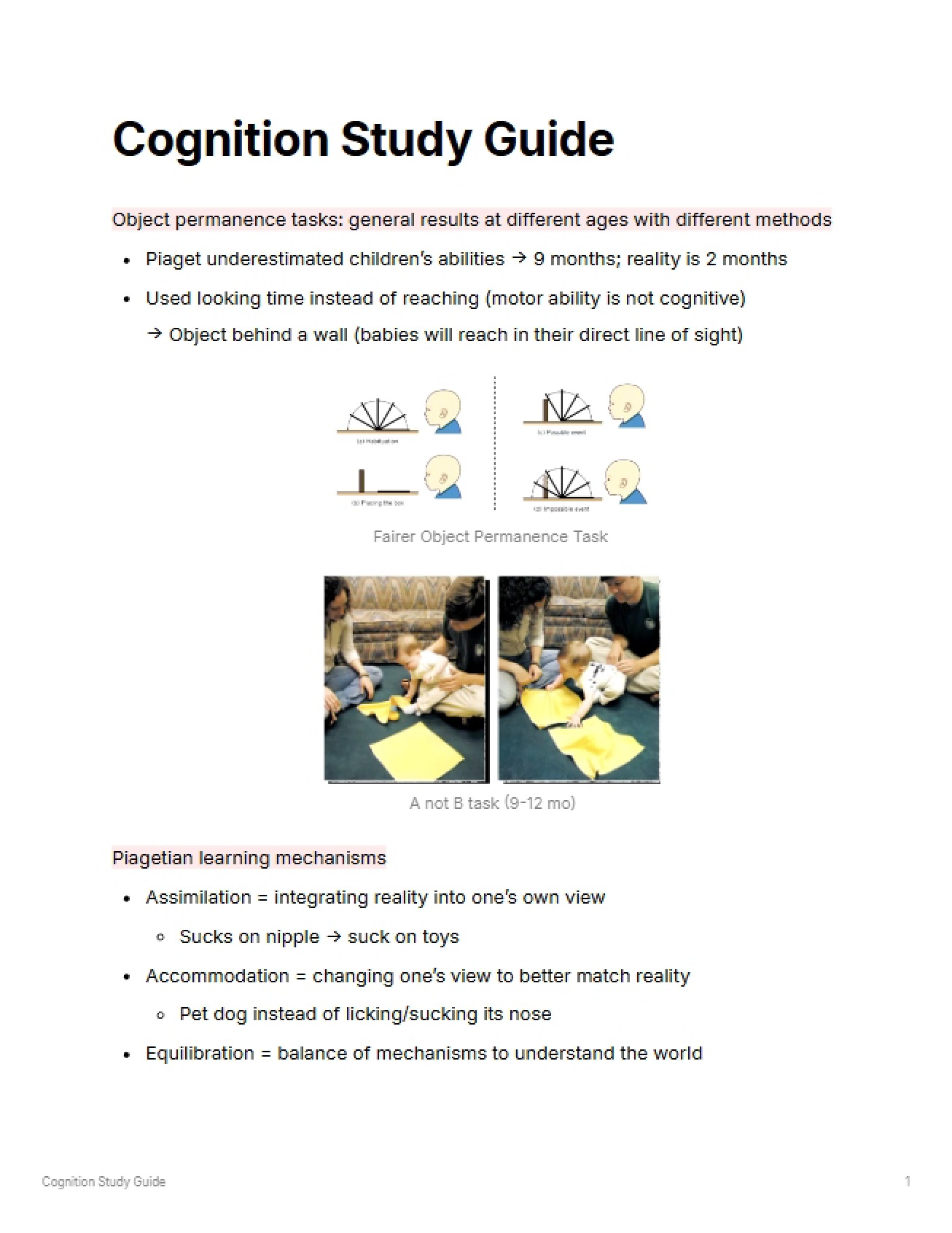 Study Guide on Cognition