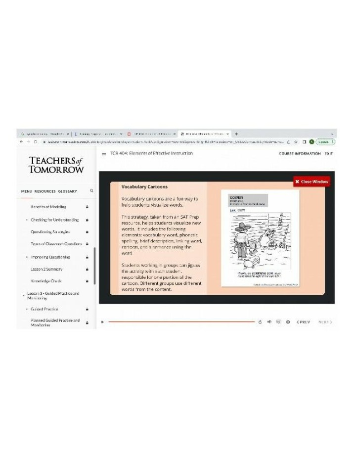 Vocabulary Cartoons - Effective Instruction Strategies
