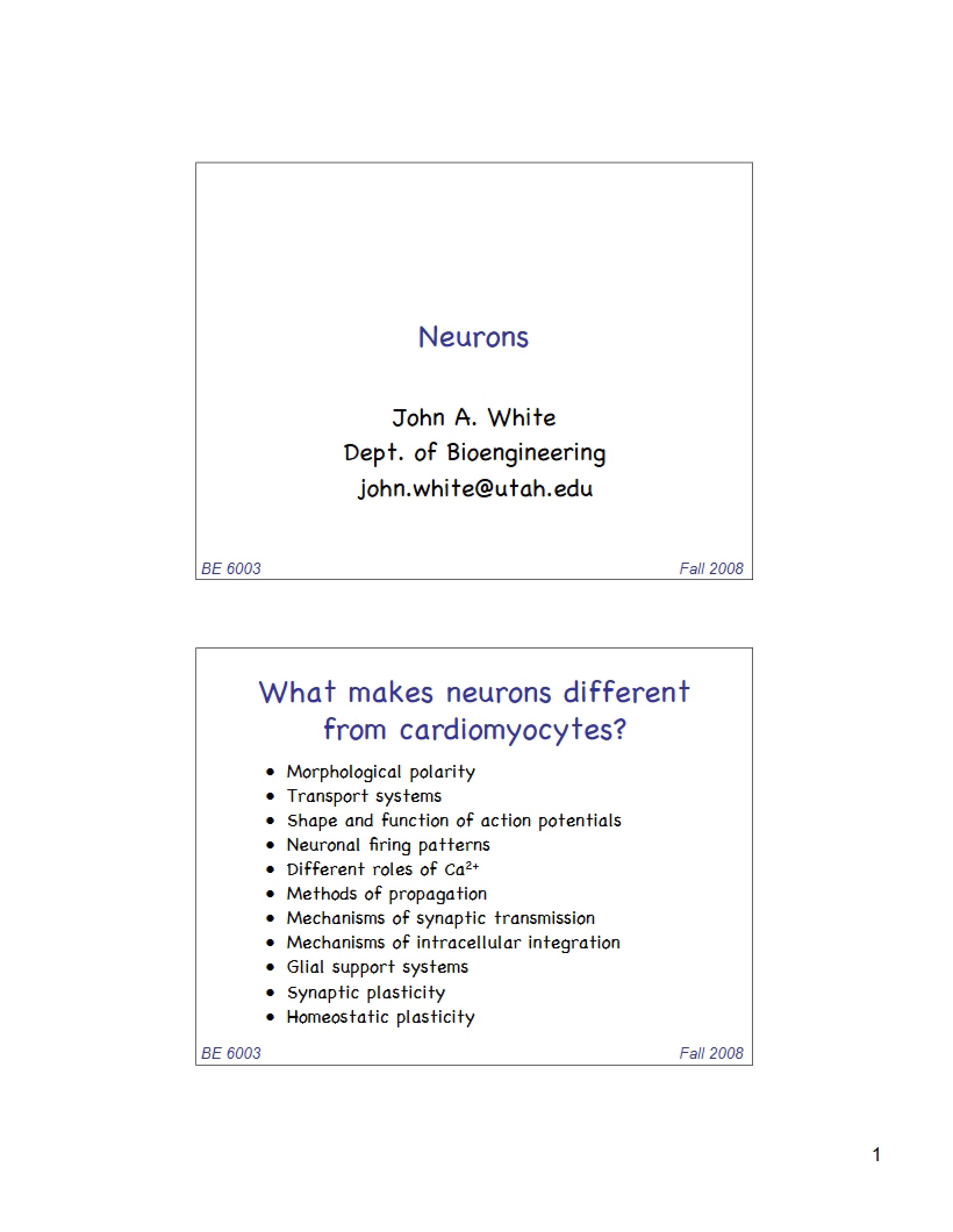 Neurons Overview