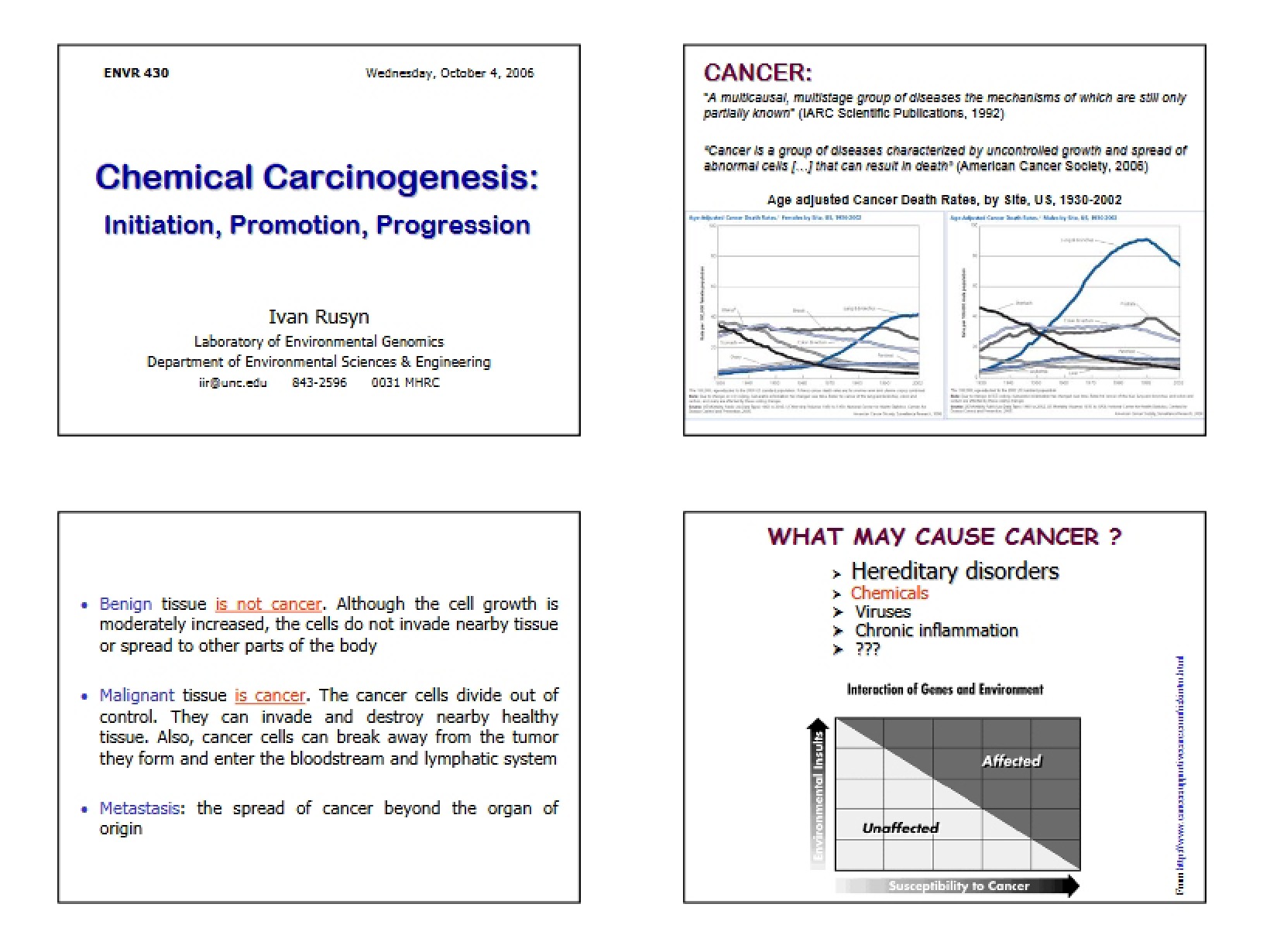Stages of Chemical Carcinogenesis