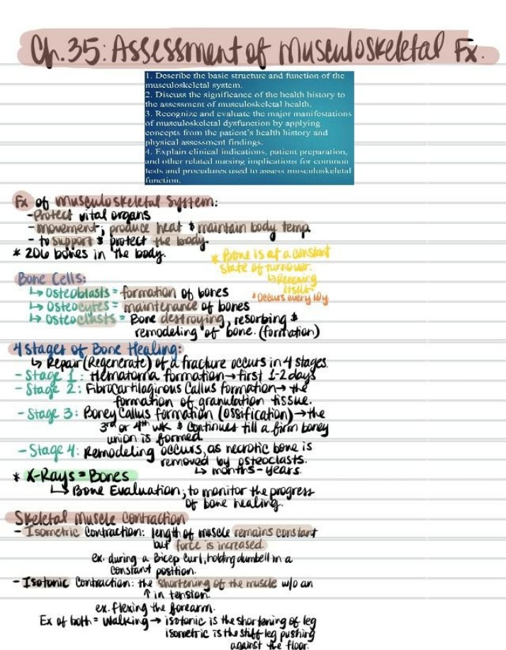 Musculoskeletal System Assessment Notes