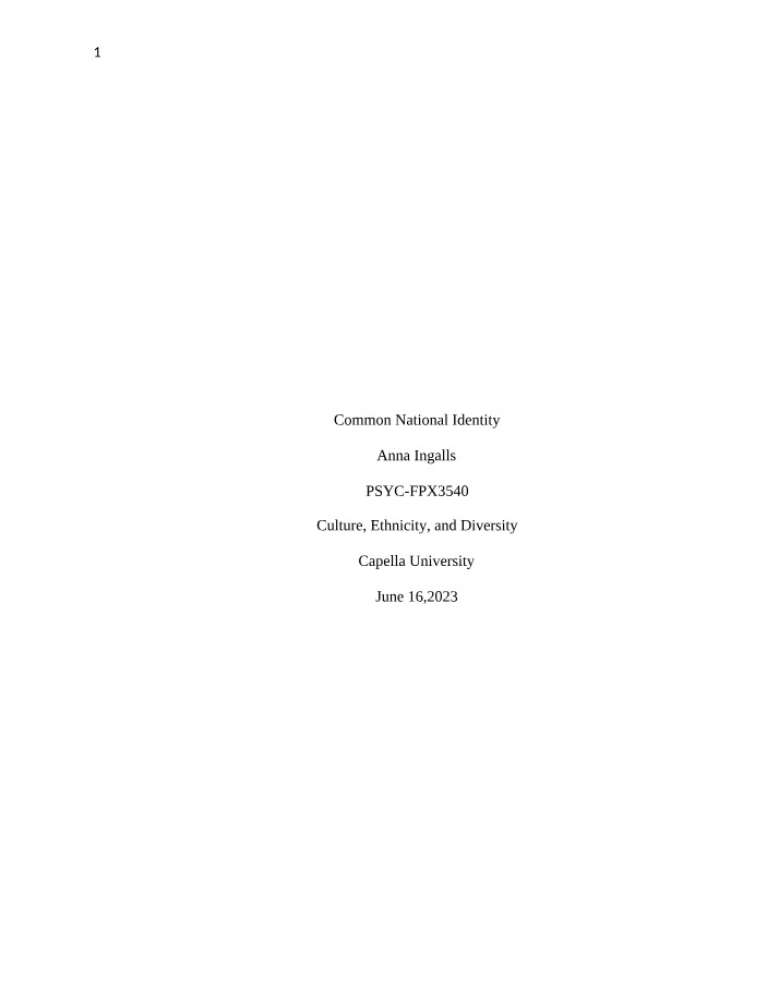 Essay on Common National Identity