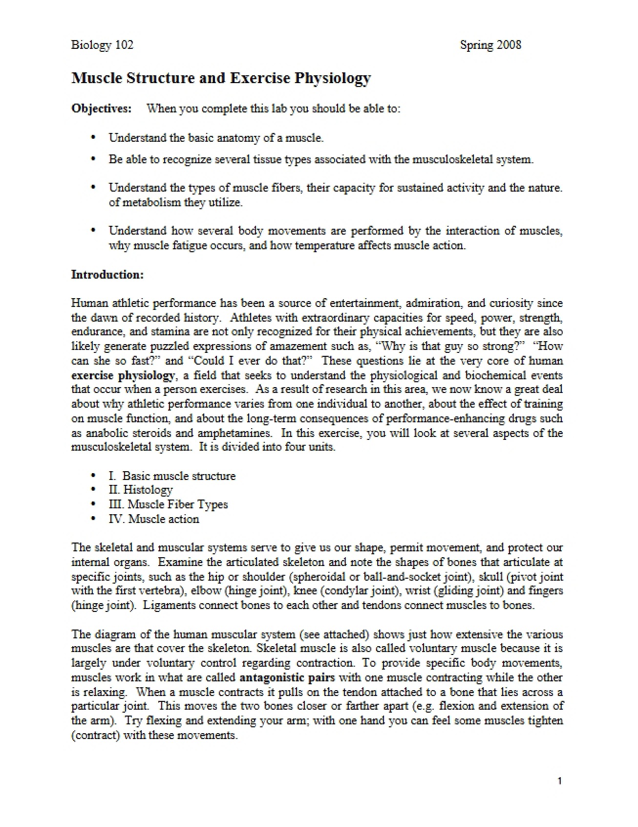Second Look at Muscle Structure and Exercise Physiology