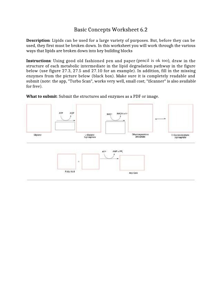 Worksheet 6.2 - Basic Concepts
