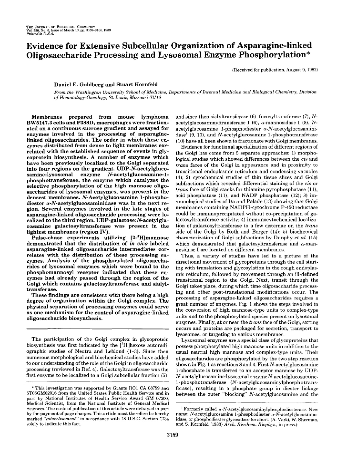 Subcellular Organization Evidence for Extensiveness