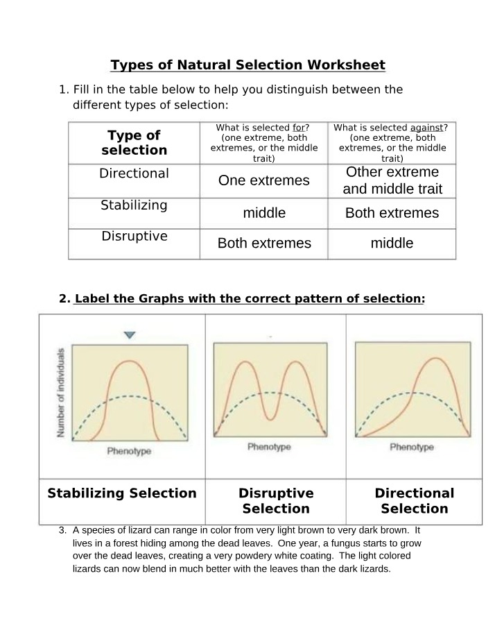 Worksheet on Types of Natural Selection
