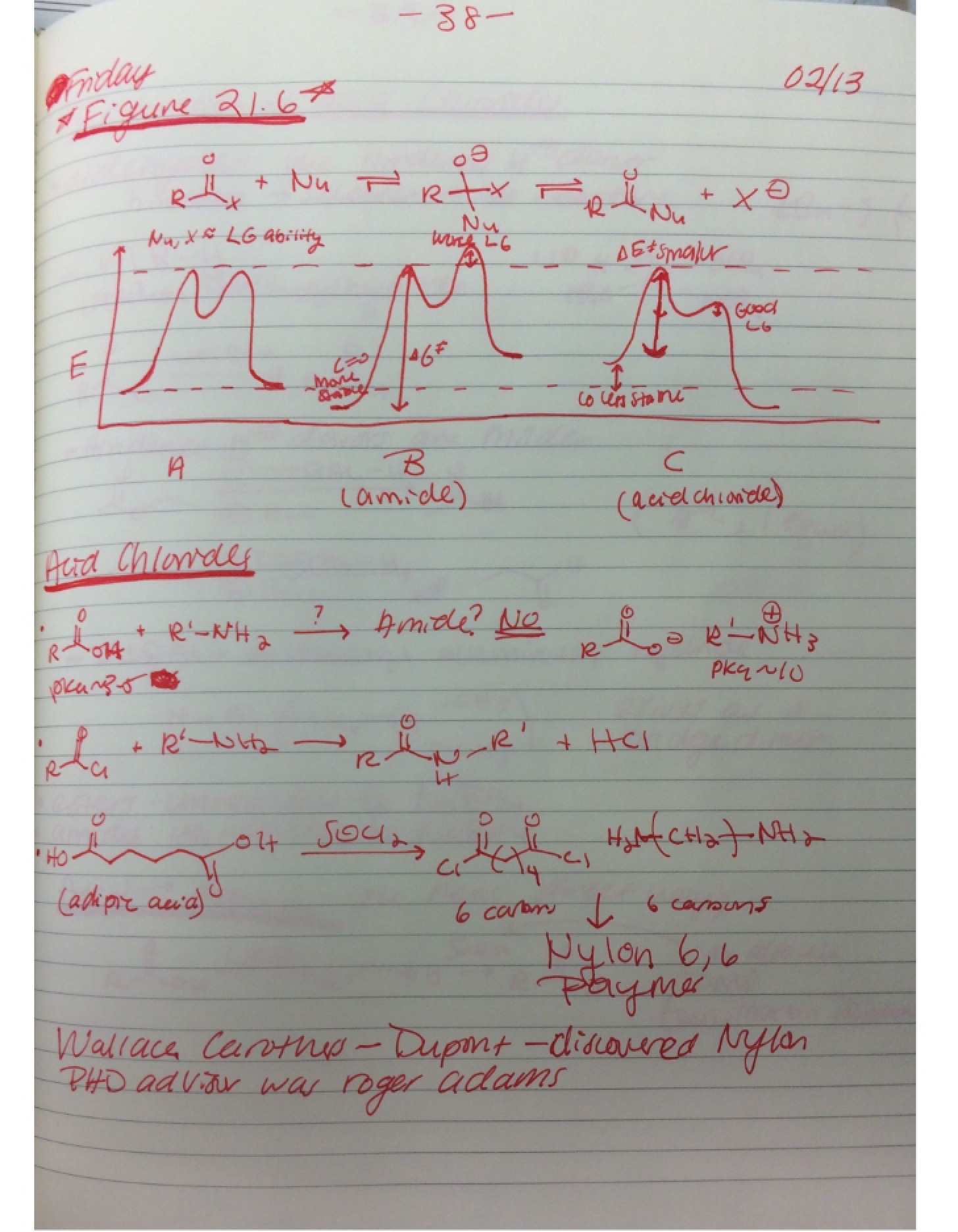 Lecture Feb 13 (#10)