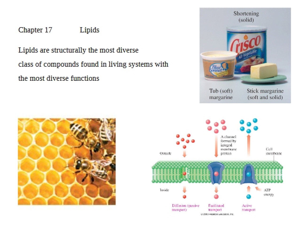 Lipids Chapter 17