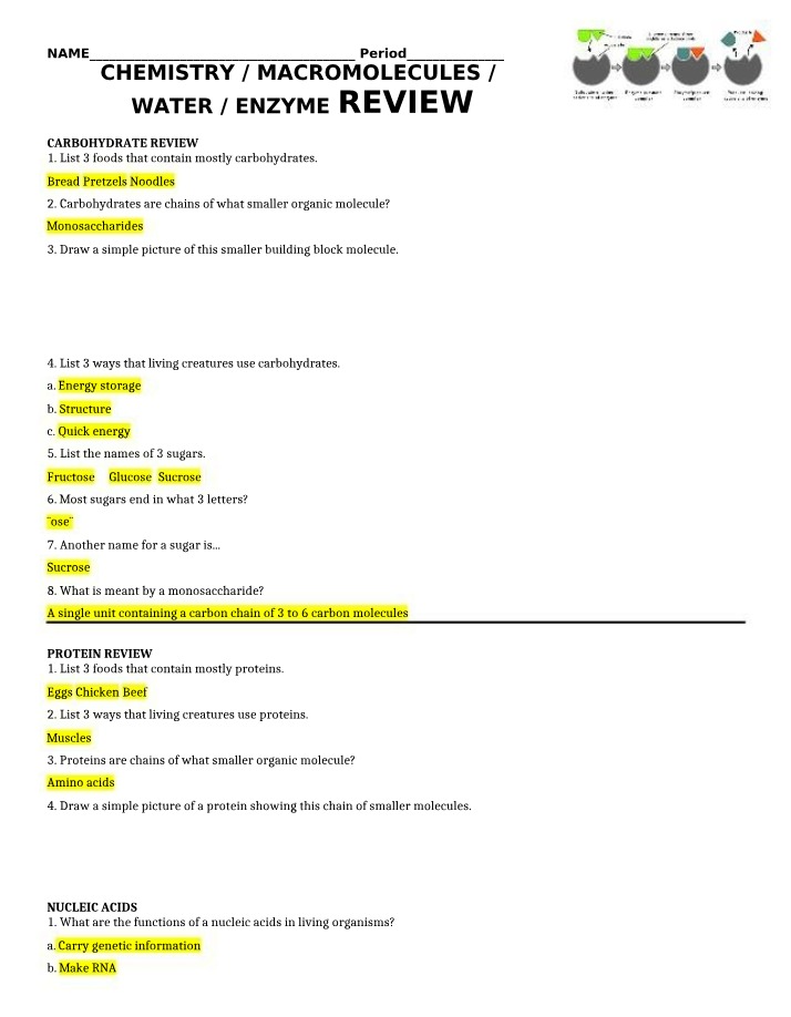 Review of Enzymes, Nucleic Acids, Lipids, Proteins, and Carbohydrates