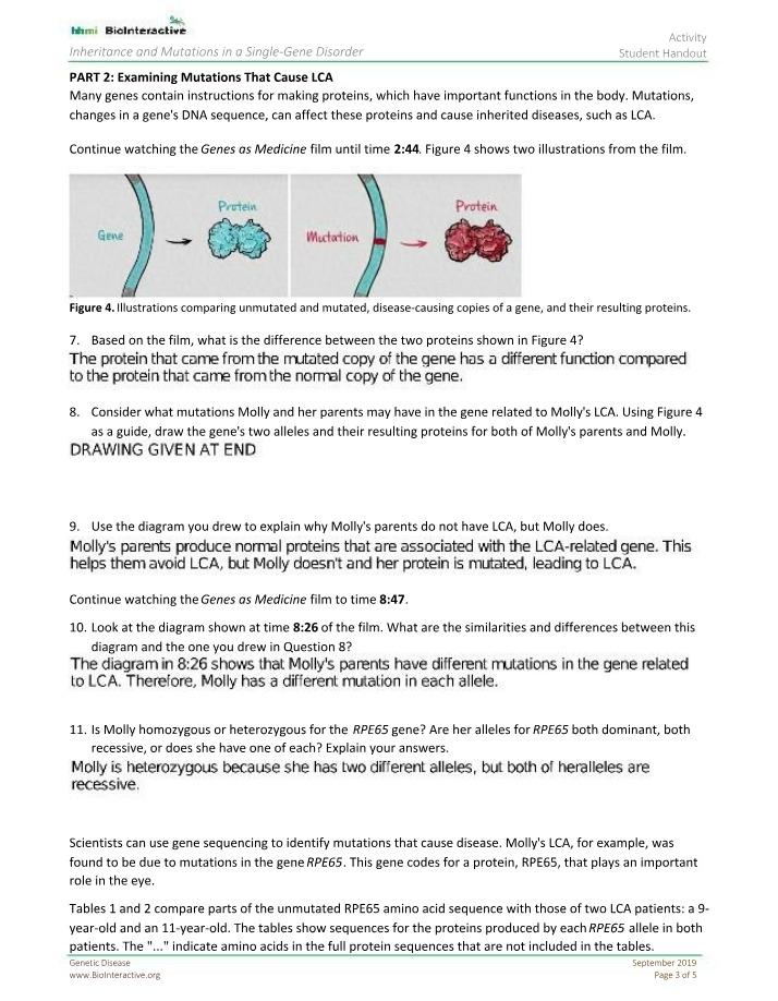 Mutations and Medicine - Worksheet 4