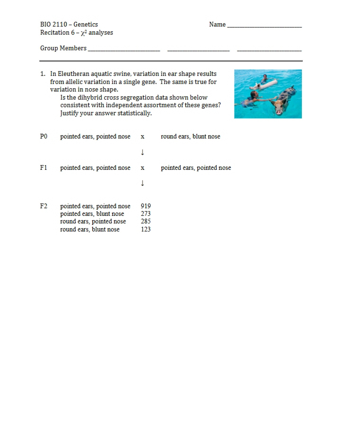 Chi-Squared Tests (Recitation 6)