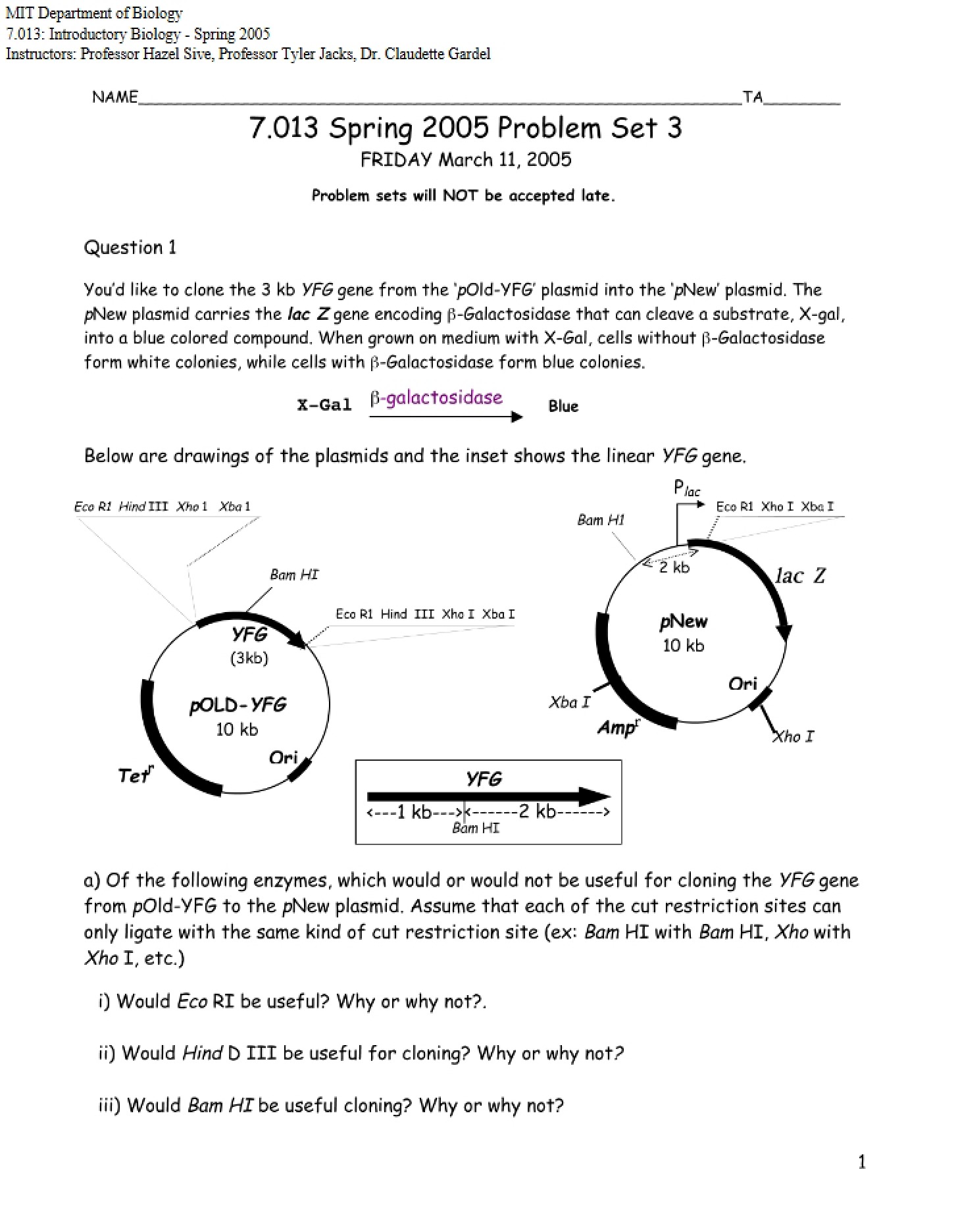 Assignment Set 3