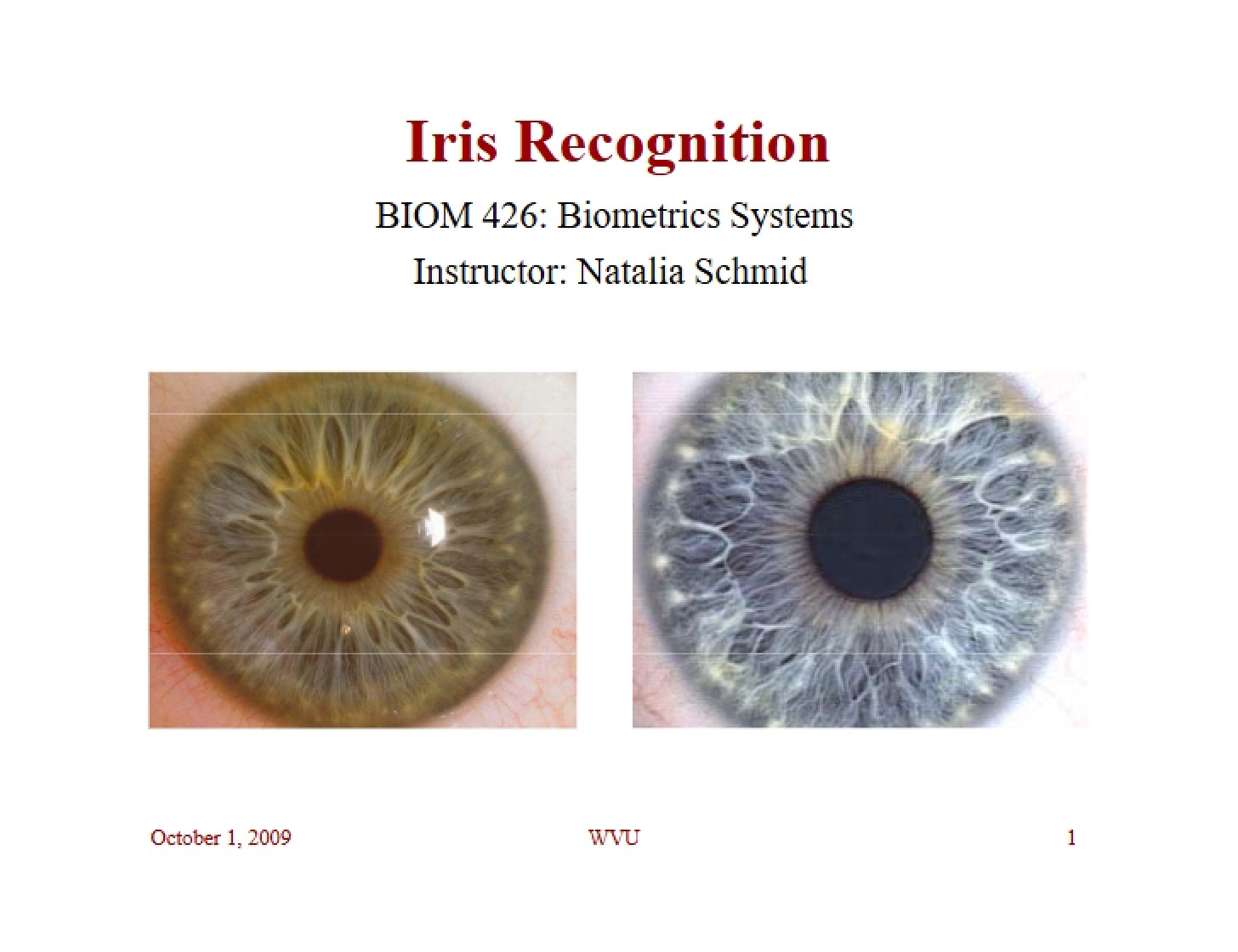 Ocular Iris Recognition